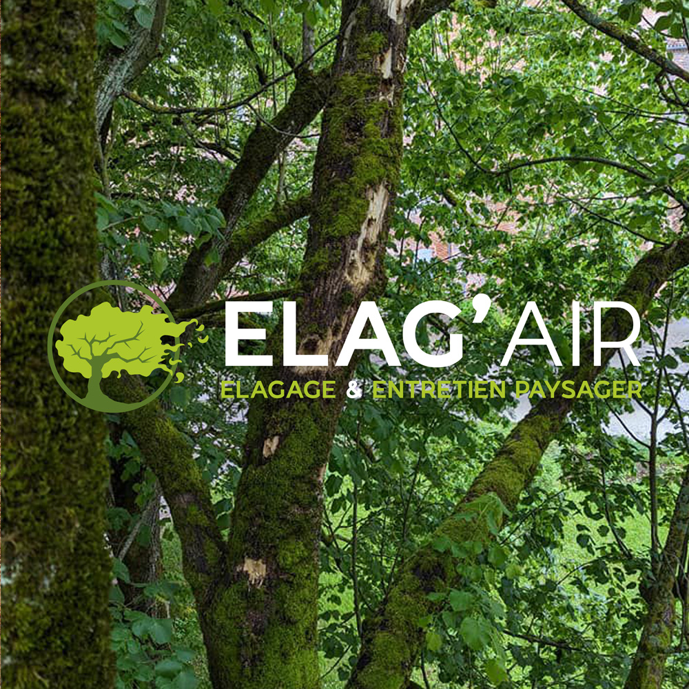 Découvrez notre projet : Elag'Air